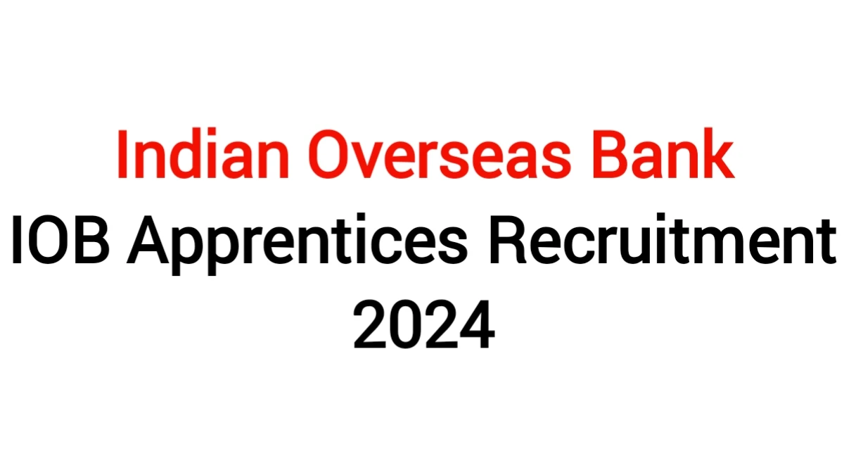 indian overseas bank iob apprentices recruitment 2024