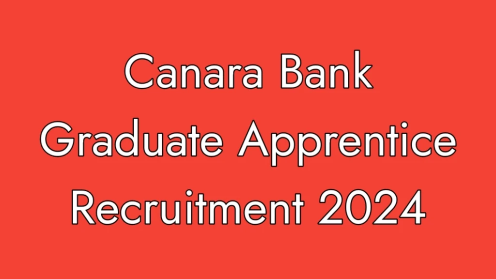 canara bank graduate apprentice recruitment 2024